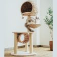 Bird Nest Cat Tree For Cheap