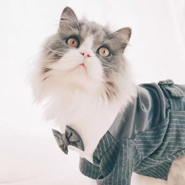 Stylish Cat Wedding Tuxedo Cheap