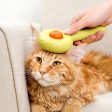 Donut Cat Groom Fashion