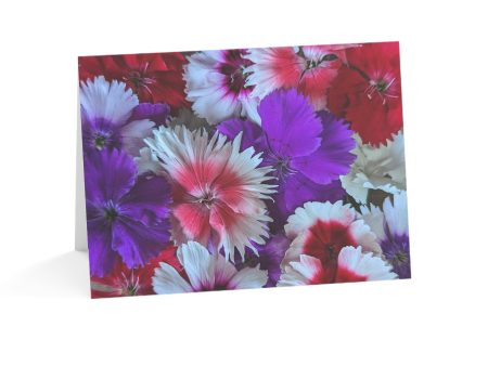 Notecards - Dianthus Mix on Sale