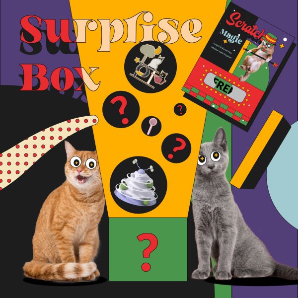 Surprise Box-Journey Beyond Sight Fashion