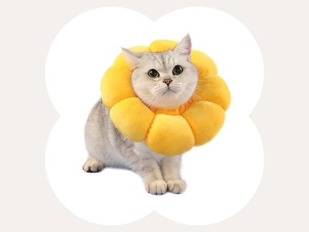 Flower Styled Cat Cone Sale