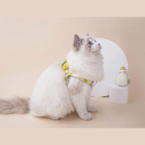 Fruit Style Cat Leashes and Harnesses For Cheap