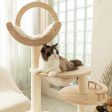 Transformable Cat Tree Accessories Hot on Sale