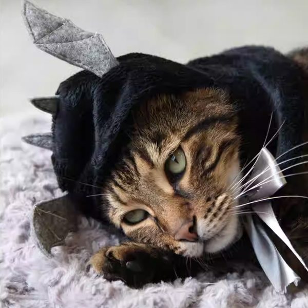 Bat Wing Cape with Hood for Cats Cheap