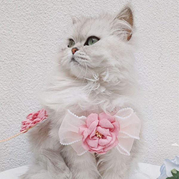 Pink Camellia Cat Harnesses For Discount