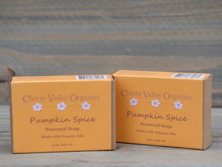 Pumpkin Spice Seasonal Soap Online