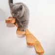 Cat Climbing Platform Online Sale