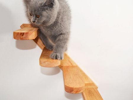 Cat Climbing Platform Online Sale