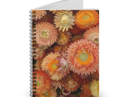 Spiral Notebook - Ruled Line - Strawflowers Sale