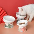 Naughty Cat Ceramic Bowl Online now