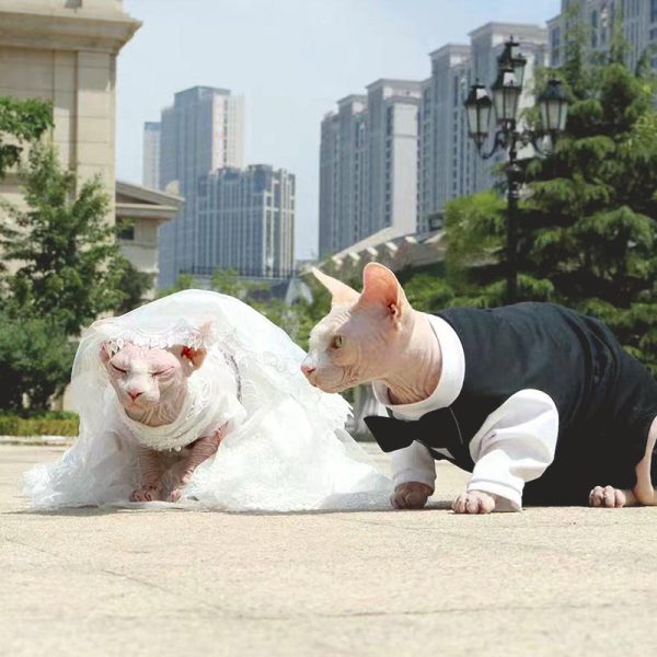 Luxurious Cat Wedding Gown with Train and Veil For Sale