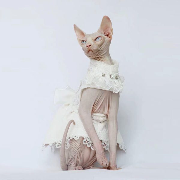 Elegant Cat Wedding Dress with Veil Online Sale