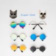 Super Cool Pet Glasses Online now