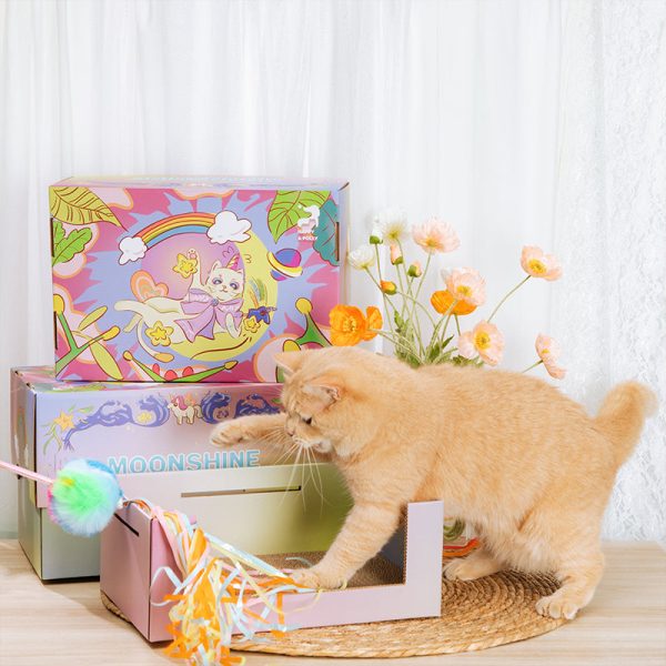 Playful Paws Box: 6 Fun Picks for Cats Cheap