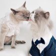 Stylish Cat Wedding Tuxedo Cheap