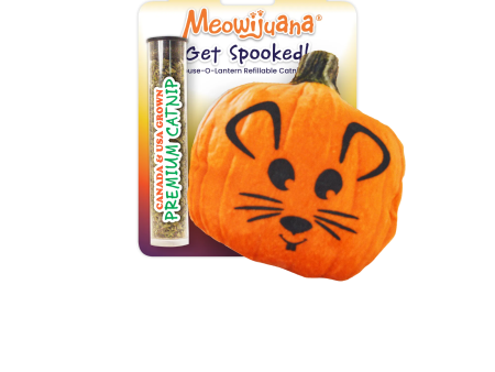 Get Spooked Pumpkin Refillable Cat Toy Online Hot Sale