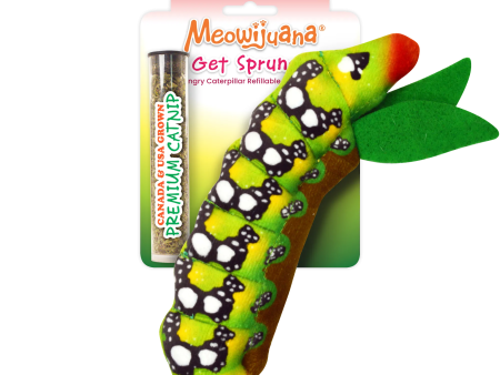 Get Sprung Caterpillar Refillable Cat Toy Online Hot Sale