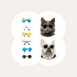 Super Cool Pet Glasses Online now