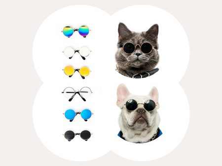 Super Cool Pet Glasses Online now