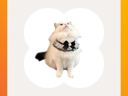 Black Bow Cat Bib Sale