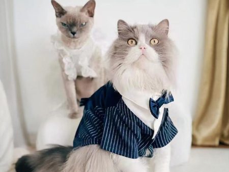 Stylish Cat Wedding Tuxedo Cheap