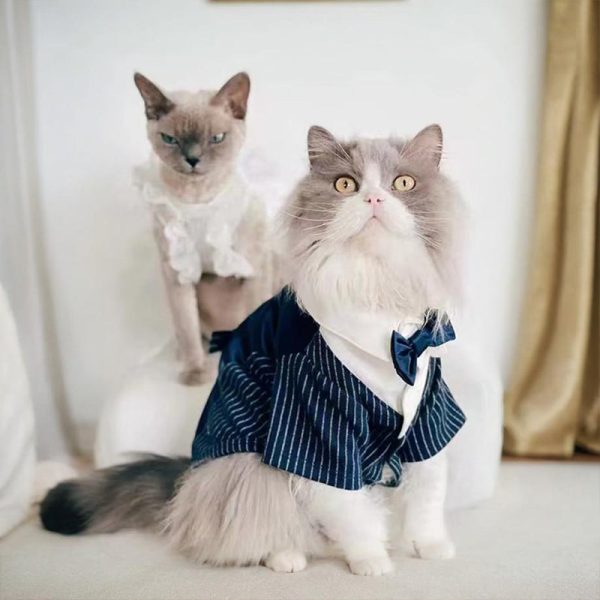 Stylish Cat Wedding Tuxedo Cheap