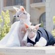 Luxurious Cat Wedding Gown with Train and Veil For Sale