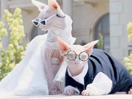 Luxurious Cat Wedding Gown with Train and Veil For Sale