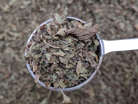 Tulsi Herbal Tea Online