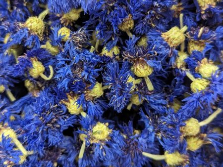 Dried Edible Flowers - Bachelor Buttons, Blue Boy Fashion