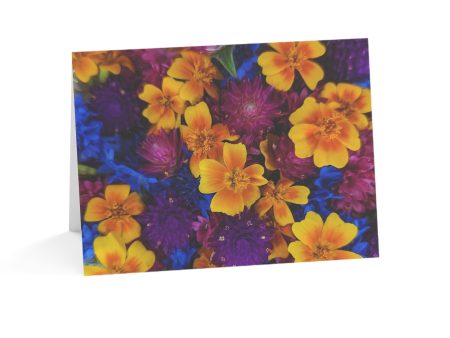 Notecards - Bold Petite Mix Online Hot Sale