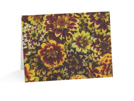 Notecards - Warm Color Zinnias Online Hot Sale