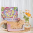 Playful Paws Box: 6 Fun Picks for Cats Cheap