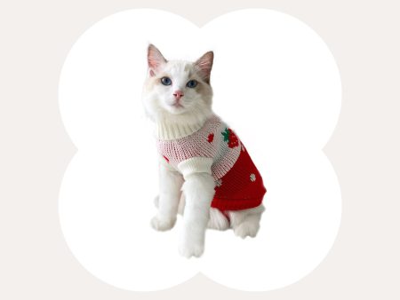 Strawberry Heart Cat Sweater Supply