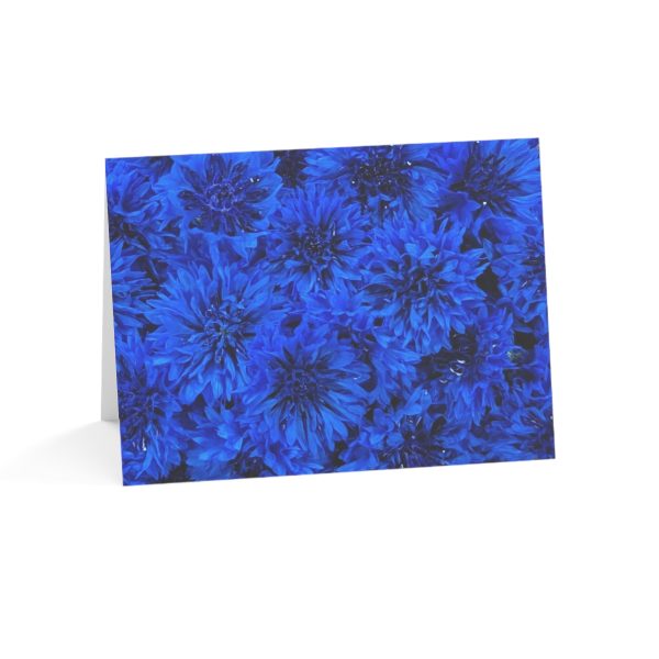 Notecards - Blue Bachelor Buttons Online now