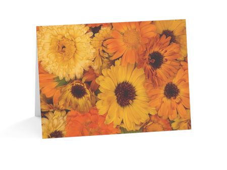 Notecards - Calendula Sunset Cheap