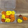 Fresh Edible Flowers - Marigolds, French Mix Online