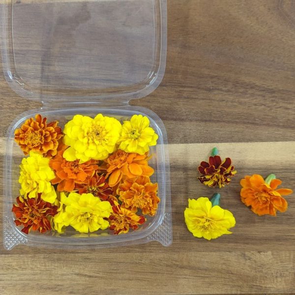 Fresh Edible Flowers - Marigolds, French Mix Online