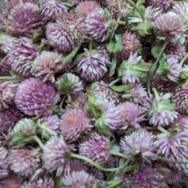 Dried Edible Flowers - Gomphrena, Lavender Sale