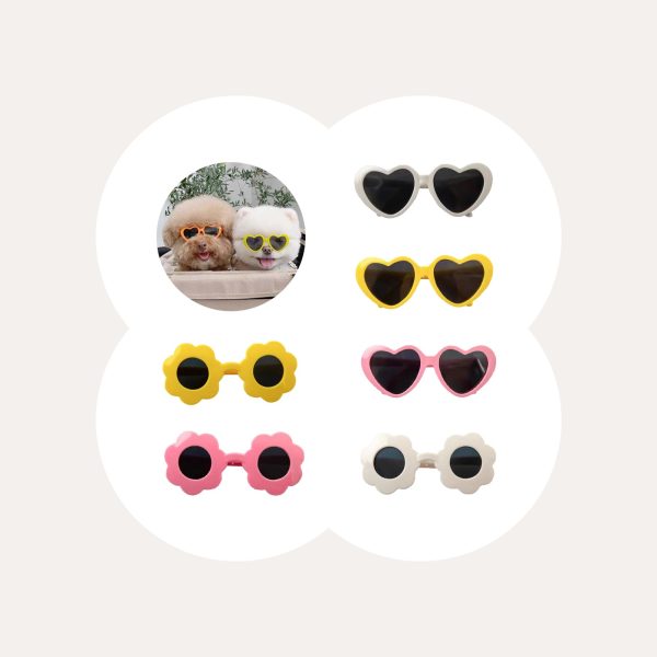 Pet Sunglasses Cheap