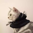 Bat Wing Cape with Hood for Cats Cheap