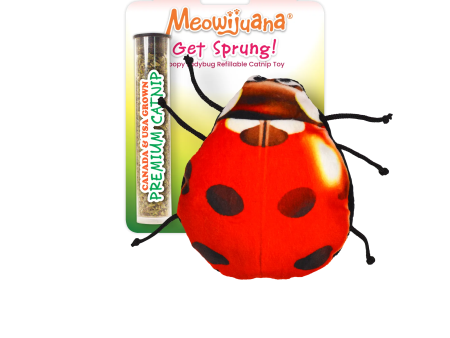 Get Sprung Lady Bug Refillable Cat Toy Sale