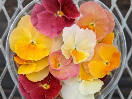 Fresh Edible Flowers - Violas, Antique Shades Supply