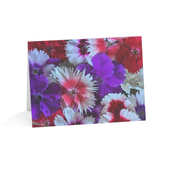 Notecards - Dianthus Mix on Sale