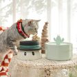 Premium Holiday Gift: Health & Happiness for Your Cat Online now