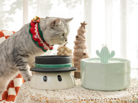 Premium Holiday Gift: Health & Happiness for Your Cat Online now