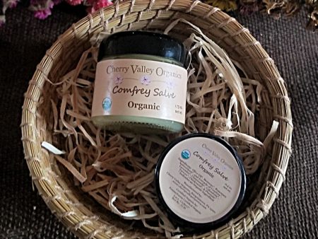 Comfrey Salve For Sale