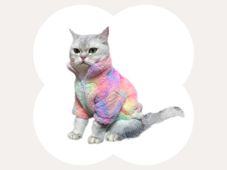 Rainbow Series Tie-Dye Cat Clothes For Sale