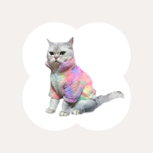 Rainbow Series Tie-Dye Cat Clothes For Sale